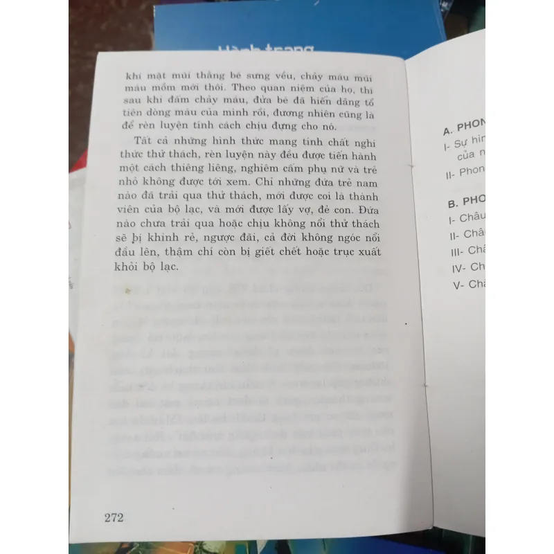 Phong tục cổ truyền Việt Nam và các nước 1013224