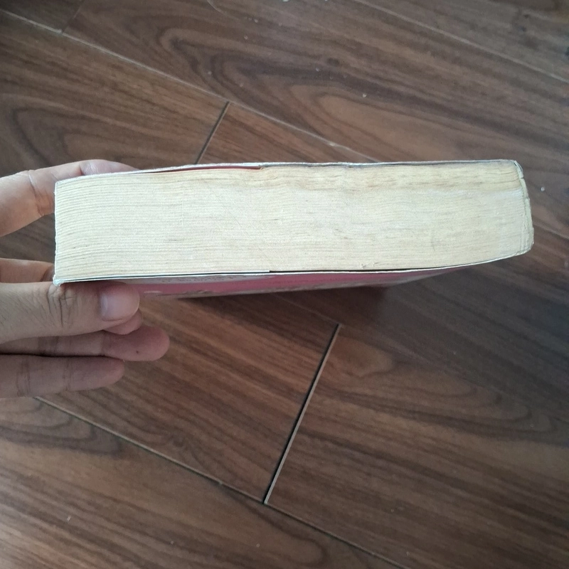 Tiểu hồ ly PK đại ca sói xám 509949
