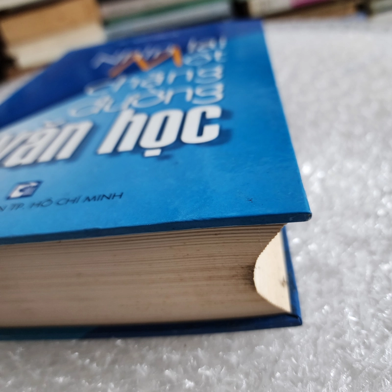 Nhìn lại một chặng đường văn học | GS Trần Hữu Tá 446558