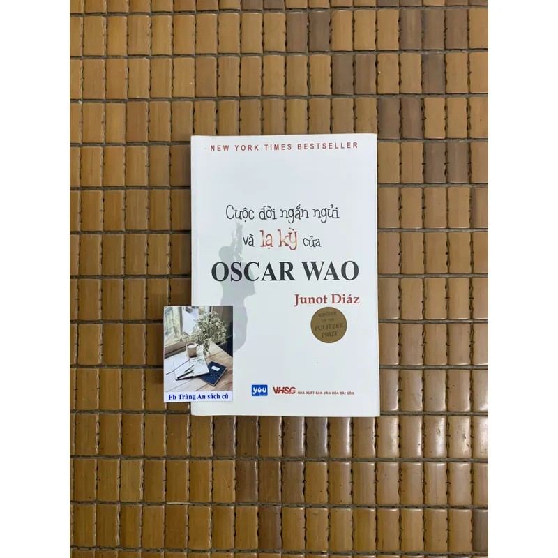 Cuộc đời ngắn ngủi và kỳ lạ của Oscar Wao 506924
