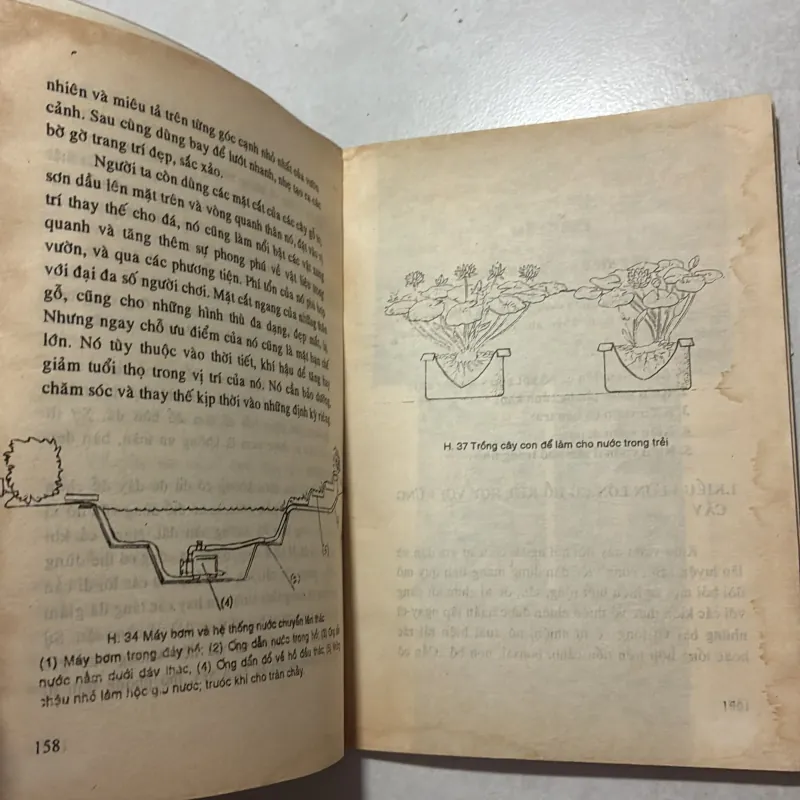 Trang trí vườn cảnh - Đỗ Xuân Hải 799844