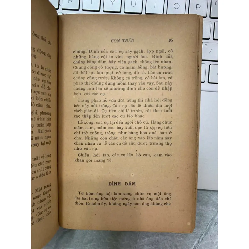 CON TRÂU - TRẦN TIÊU 704969