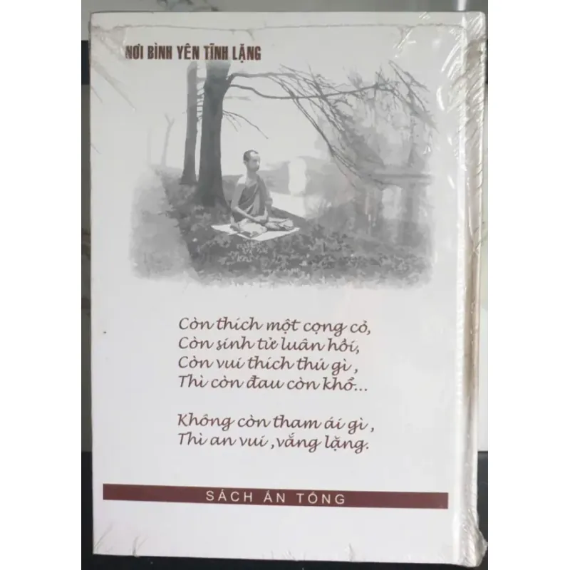 Nơi Bình Yên Tĩnh Lặng 704932