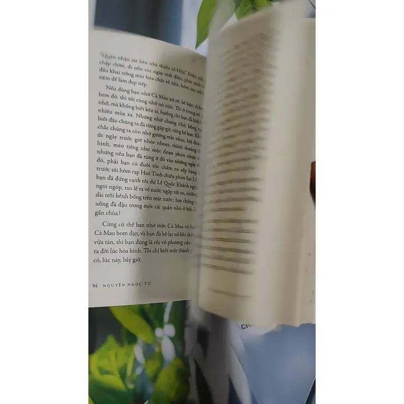 Gáy Người Thì Lạnh - Nguyễn Ngọc Tư 798453