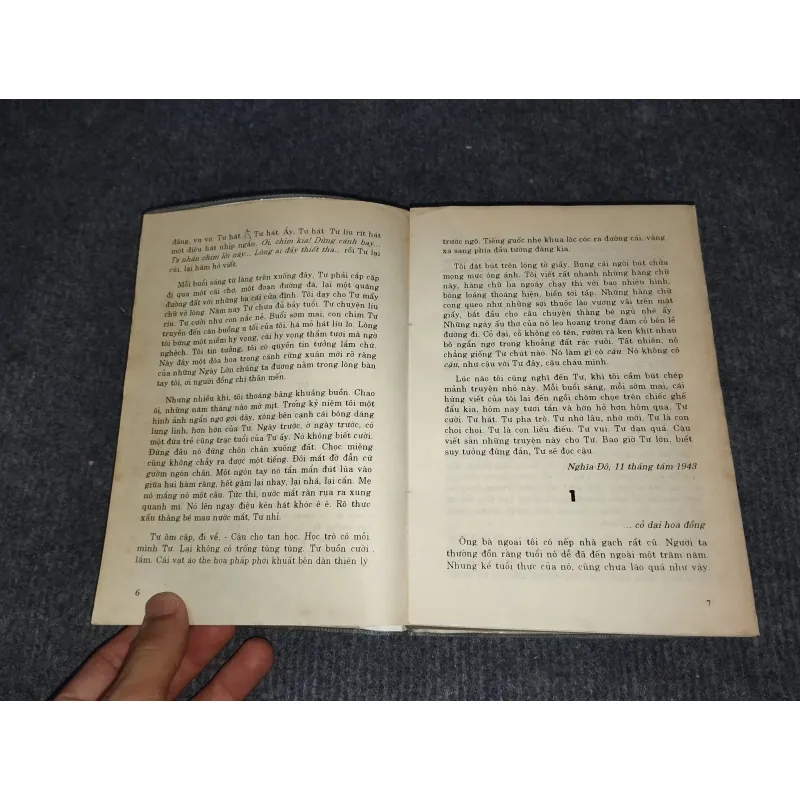 HỒI KÝ TÔ HOÀI 991080