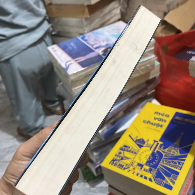 (Kỳ ảo) - Chúa đá Zaggla : tập 2 - Trận quyết đấu với quái vật ba chân 972439