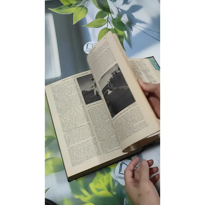 [MIỄN PHÍ BỌC SÁCH] Encyclopedia Americana 30 - Scholastic 750842