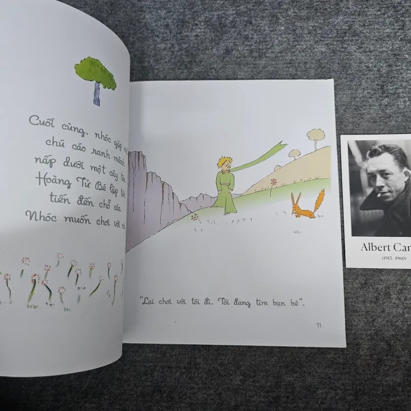 Hoàng tử bé dành cho lứa tuổi nhi đồng 1027463