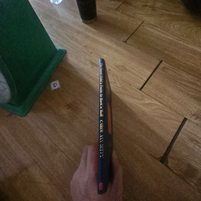 The good child's guide to rock'n'roll (bìa cứng) Giá 20k  604009