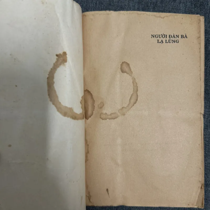 Người đàn bà lạ lùng - Francoise Sagan 785544