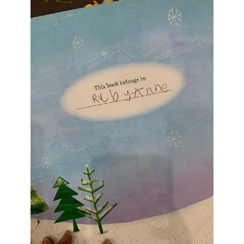The Polar Bear Who Saved Christmas – Fiona Boon 559689