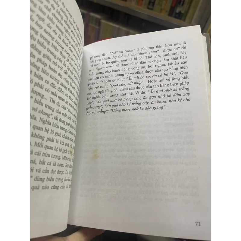 BIỂU TRƯNG TRONG TỤC NGỮ NGƯỜI VIỆT - NGUYỄN VĂN NỞ 936052