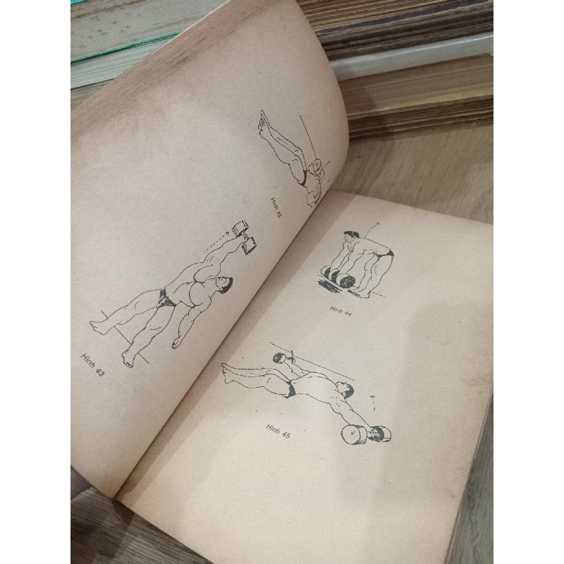 Phương pháp tập cử tạ và thể dục thẩm mỹ - LS. Lịch Sơn 799680