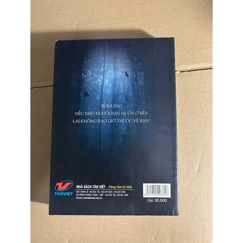 Sa ngã - Lauren Kate 563066