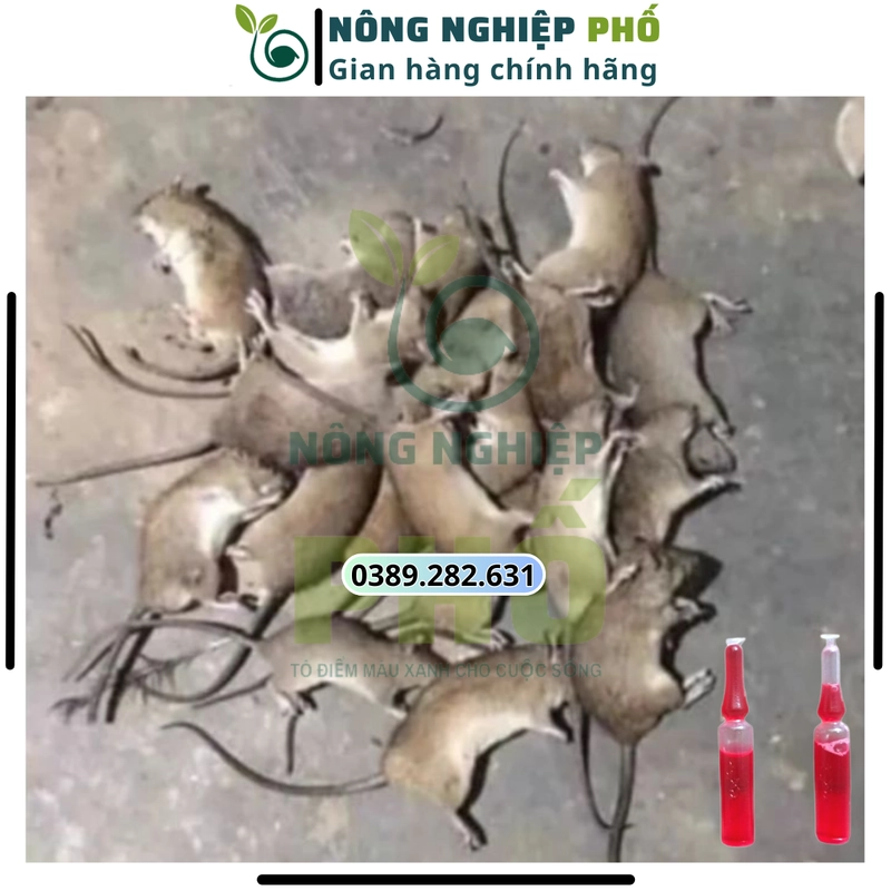 [XẢ KHO] 10 Ống chuột NƯỚC ĐỎ hàng nội địa Trung. Trừ sạch nhanh các loại chuột sau 1 lần 508251