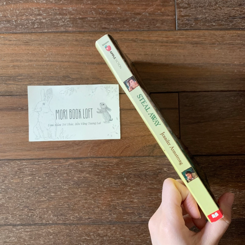 Sách ngoại văn Steal Away, Used, trình độ B1+ 532102