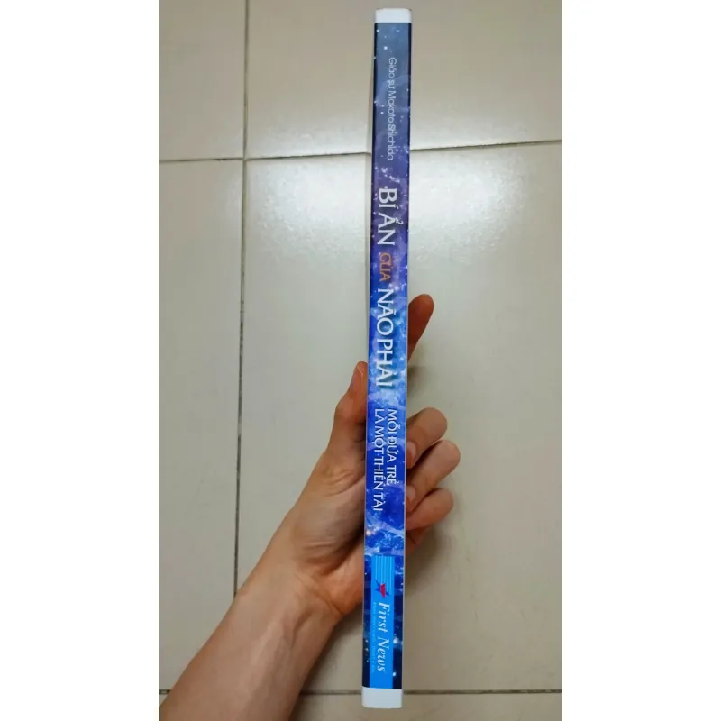 Bí Ẩn Của Não Phải - Mỗi Đứa Trẻ Là Một Thiên Tài 694726