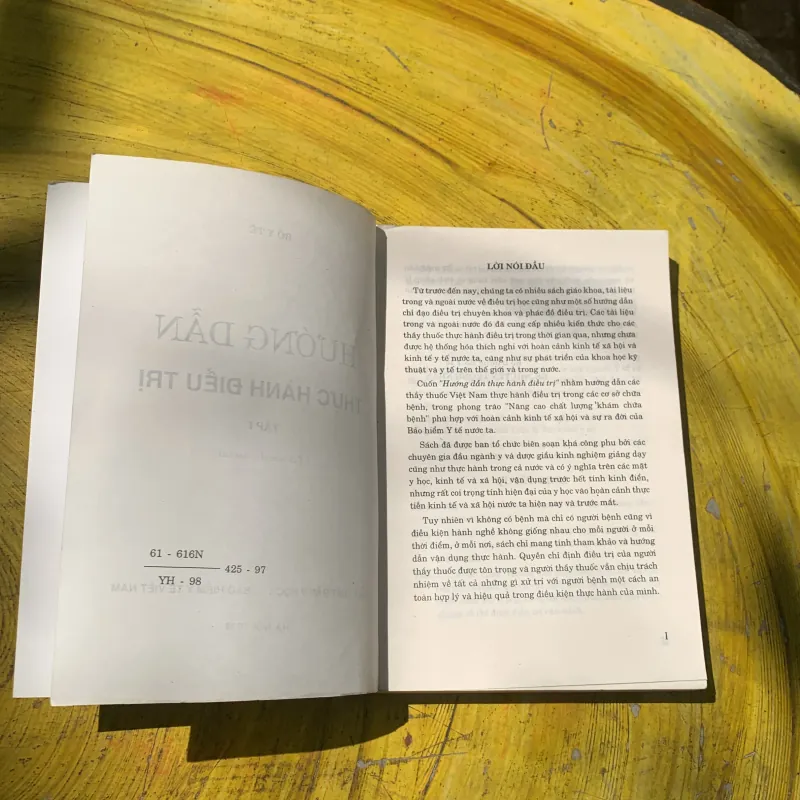 COMBO HƯỚNG DẪN THỰC HÀNH ĐIỀU TRỊ- BỘ Y TẾ 788055