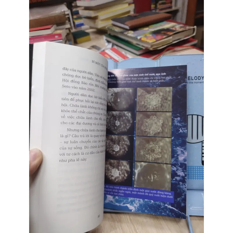 Sách: Bí mật của nước - TG: Masaru Emoto (B1) 782851