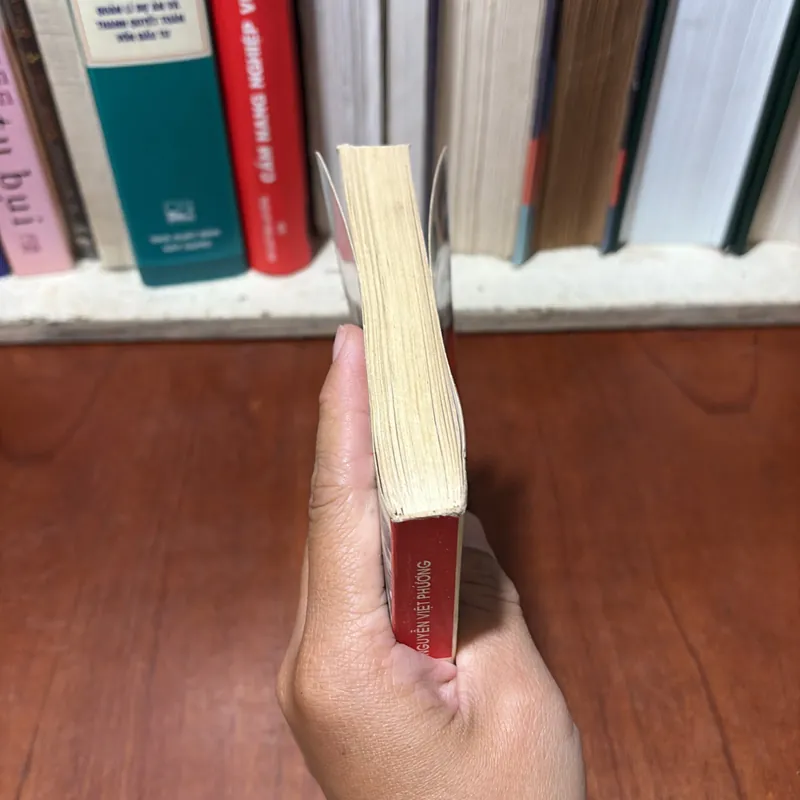 II Lịch Sử: Phía Tây Trường Sơn - Nguyễn Việt Phương - 2008 734500