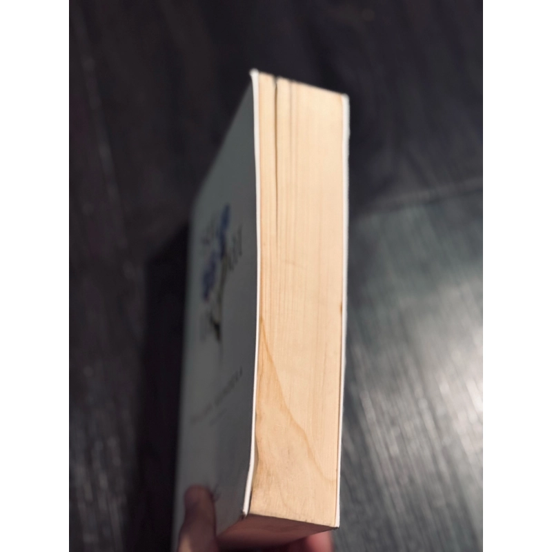 Sự bất tử - Milan Kundera  470927