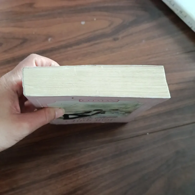 Bữa trưa tình yêu - cố mạn 761439