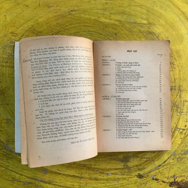  CƠ CẤU TRÍ KHÔN LÍ THUYẾT VỀ NHIỀU DẠNG TRÍ KHÔN- HOWARD GARDNER 991304