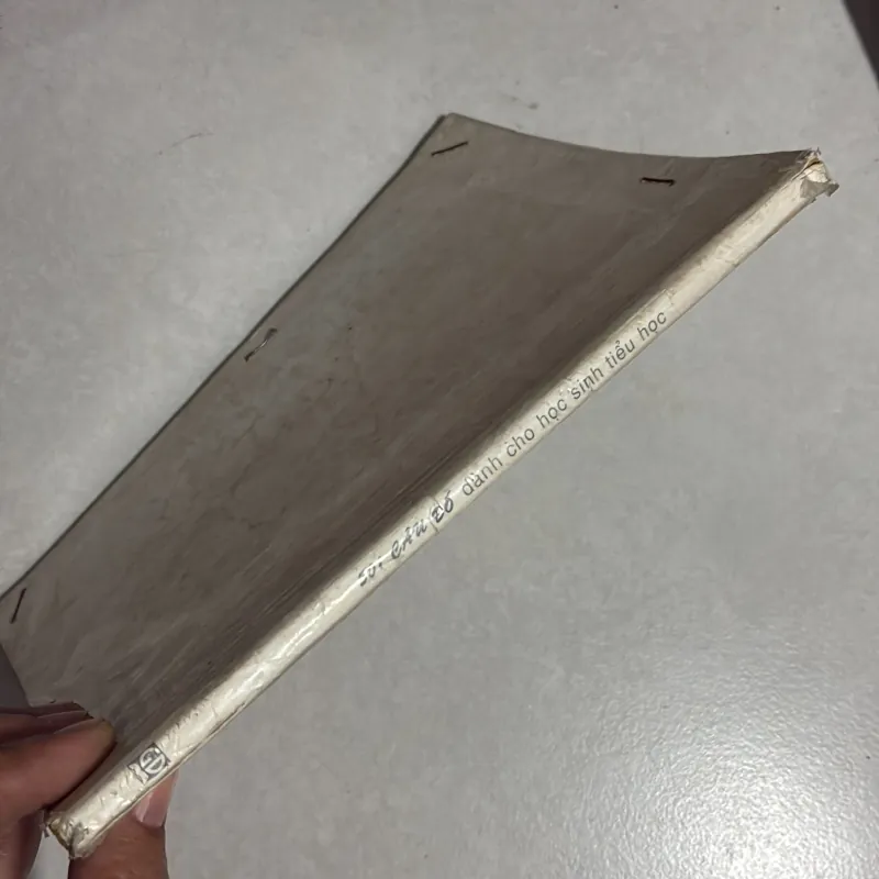 501 câu đố cho học sinh tiểu học - 1999s 778637