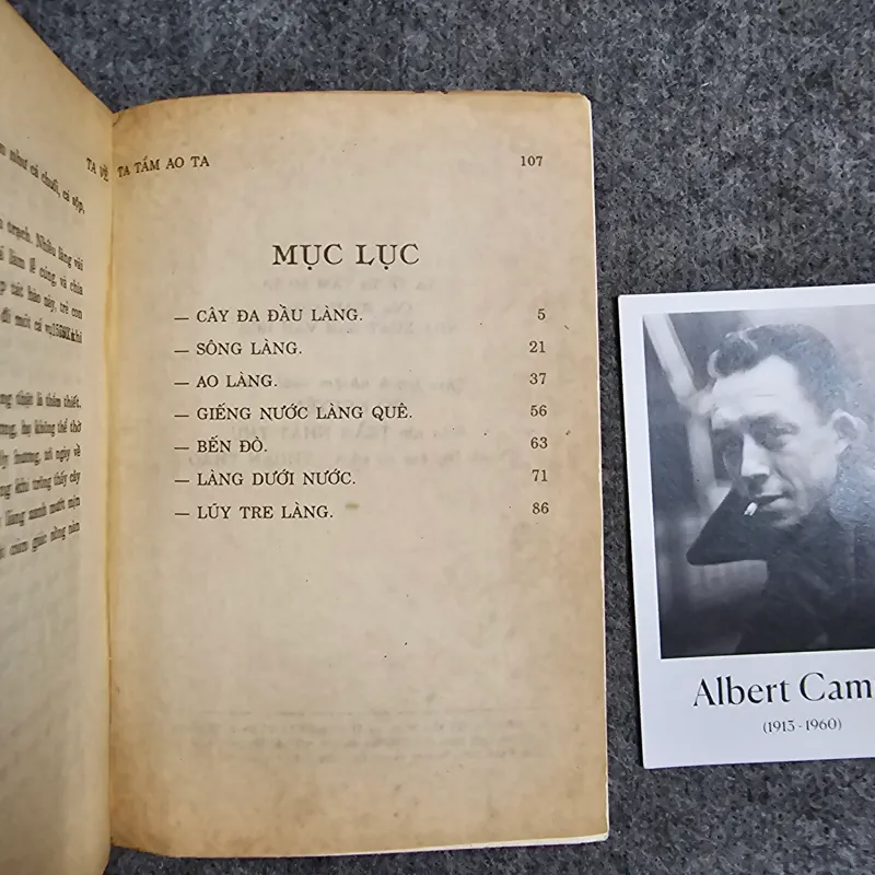 Ta về ta tắm ao ta - toan ánh 1004995