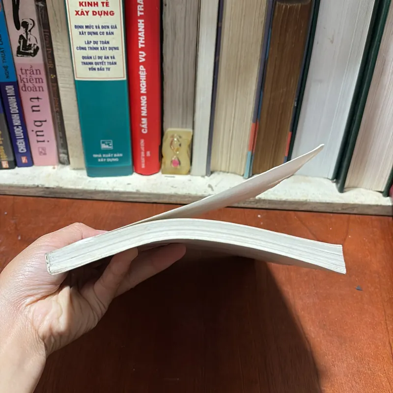 II Rủi Ro Tài Chính _ Thực Tiễn Và Phương Pháp Đánh Giá - Nguyễn Vân Nam, Hoàng Xuân Quyến 796341