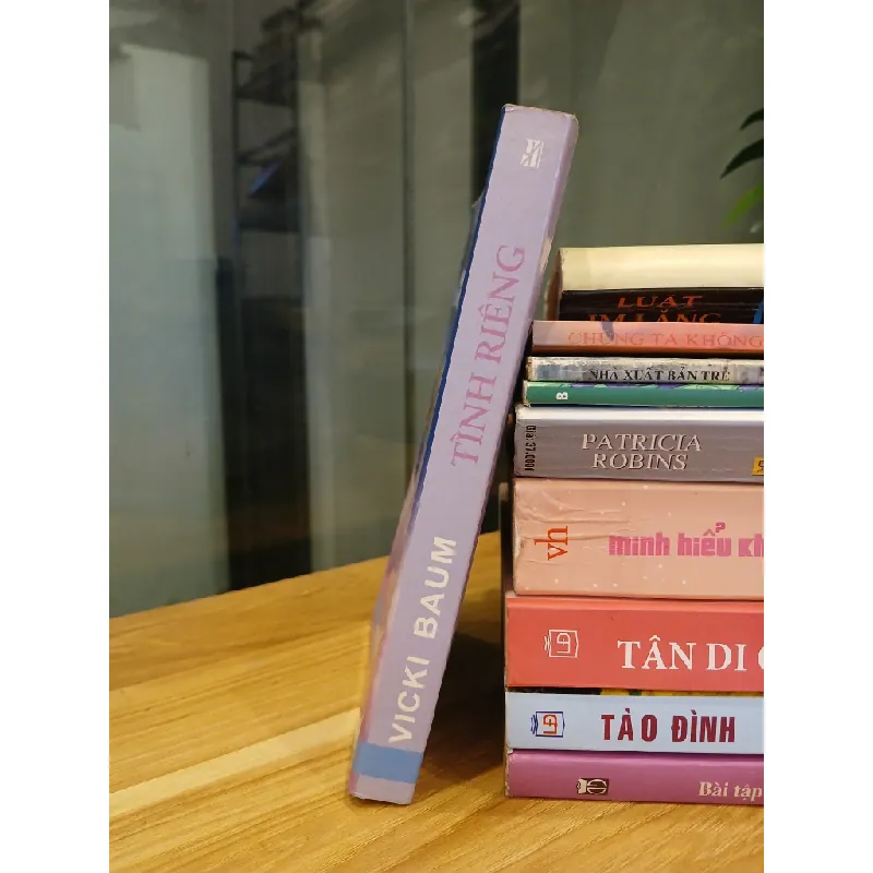 Tình riêng – Vicki Baum 558503