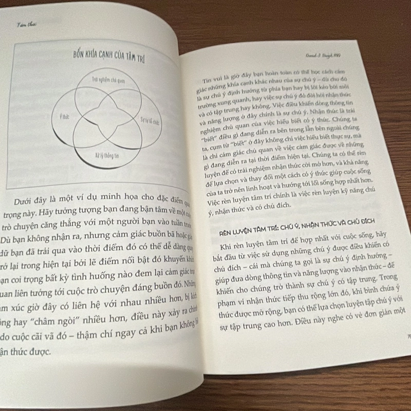 Tâm thức Daniel J.  Siegel 357547