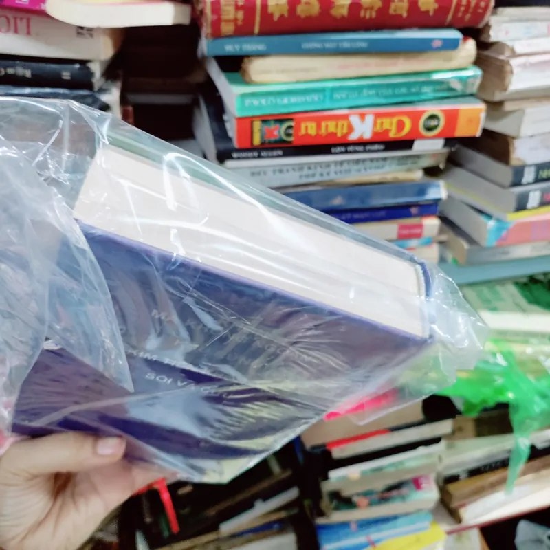 Khu rừng của VTB 673744