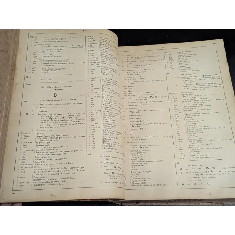 Dictionnaire vietnamien chinoiis francaise -Eugène 719146