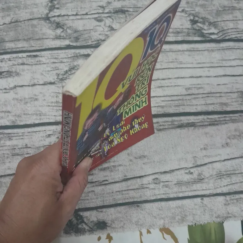 IQ vui rèn trí thông minh. Biên soạn Phương Linh Quế Quỳnh.  605194