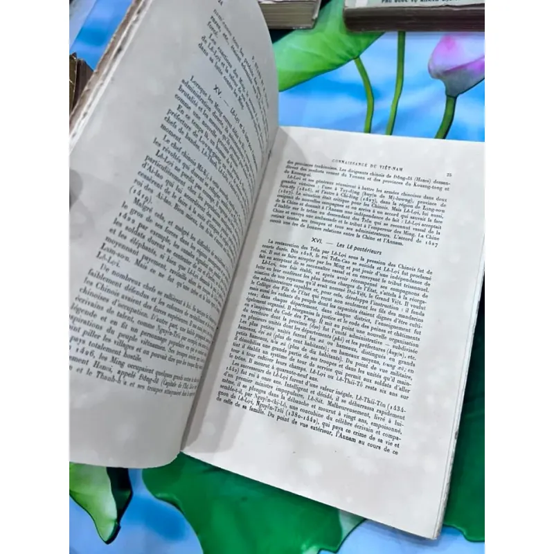 HIỂU BIẾT VỀ VIỆT NAM ( BẢN TIẾNG PHÁP) 761703