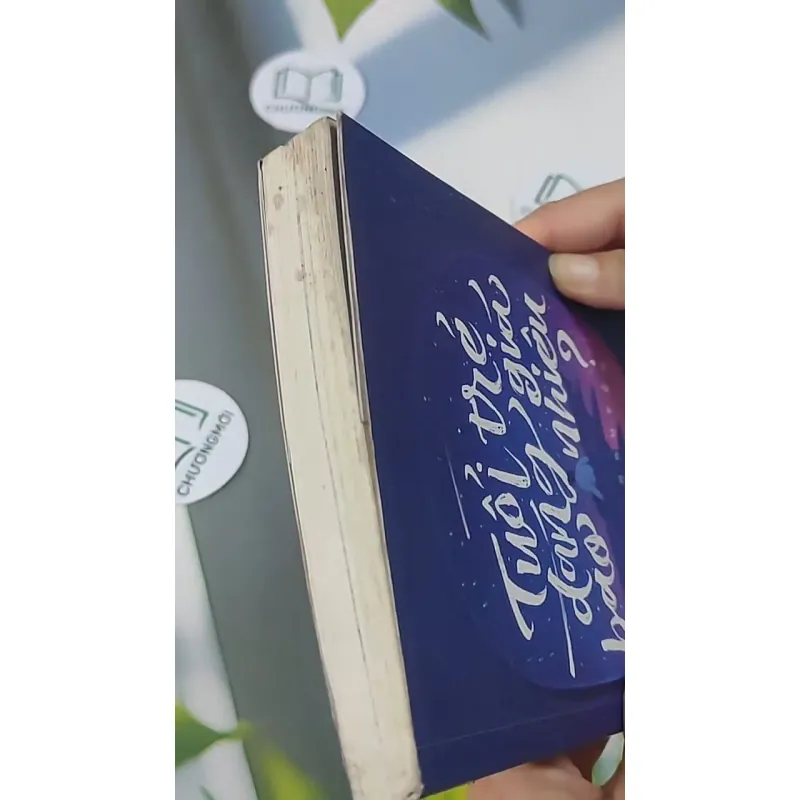 Tuổi Trẻ Đáng Giá Bao Nhiêu? 705622