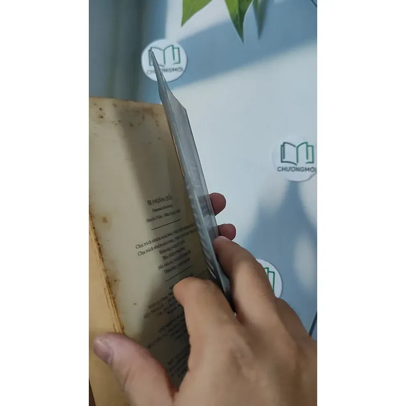 Bị Hoán Đổi (Switched) - Amanda Hocking 798347