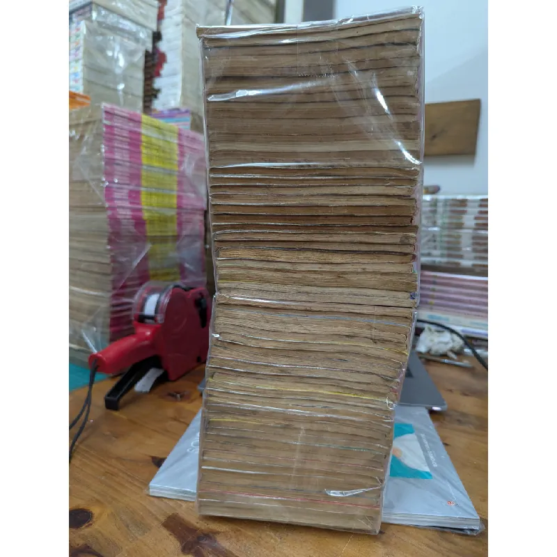 TRUYỆN TRANH ANH EM SINH ĐÔI - HOÀNG TỬ HIẾU THẢO 295866