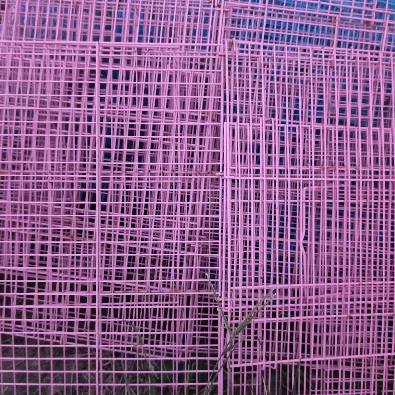 Lòng chim...  934465