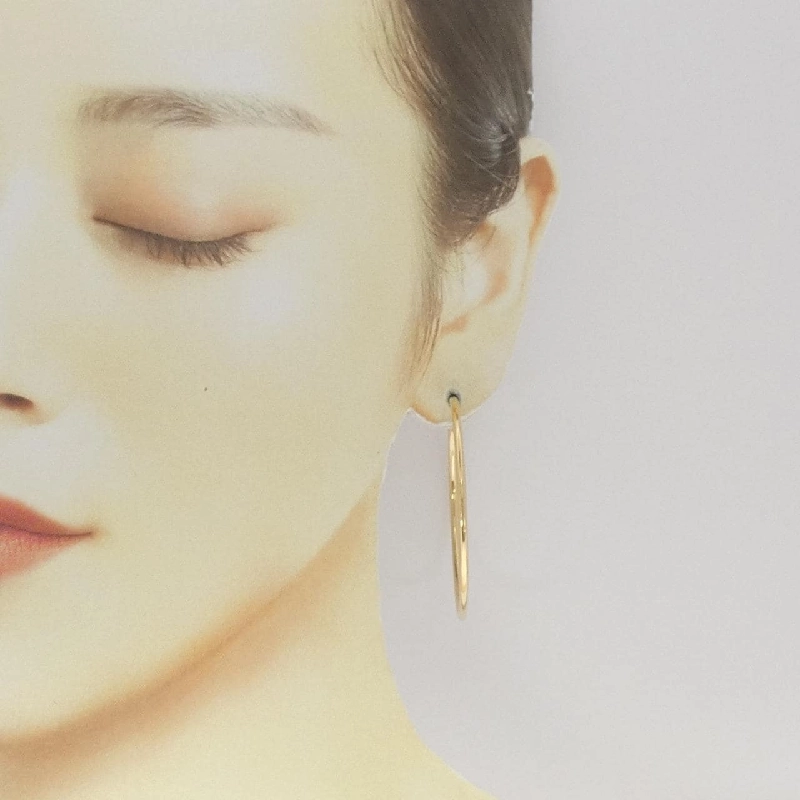 Bông tai hoop Tiffany 665654