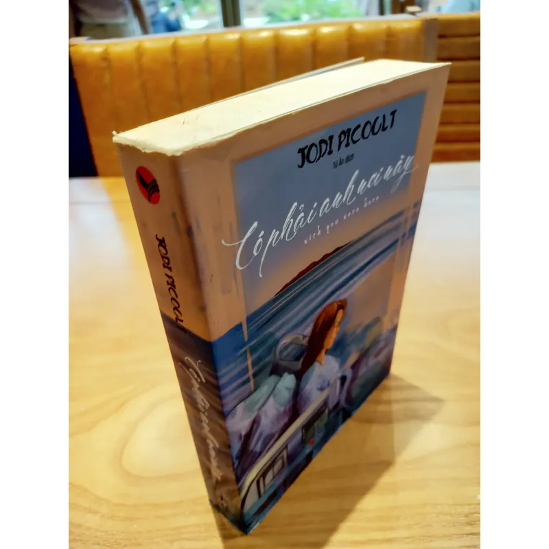 CÓ PHẢI ANH NƠI NÀY - JODI PICOULT 596182