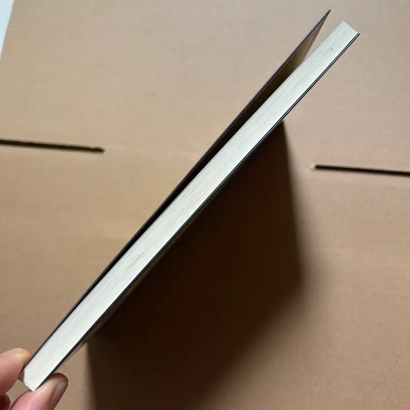 Người nam châm 722986