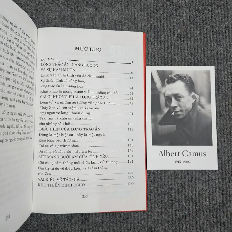 Lòng trắc ẩn, sự nở hoa cuối cùng của tình yêu - Osho 974559