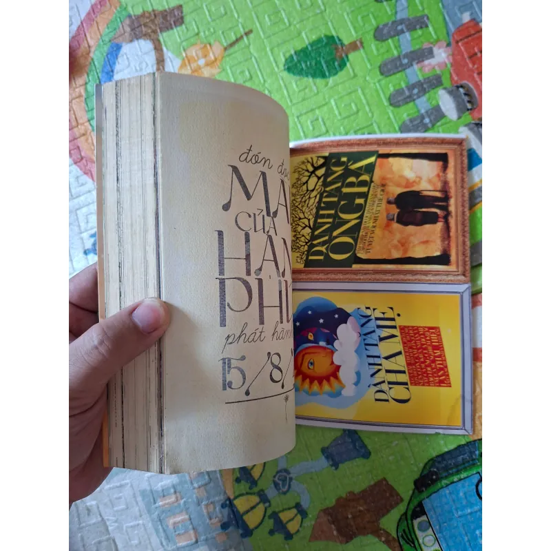 Lấp Lánh An Vui 1000070