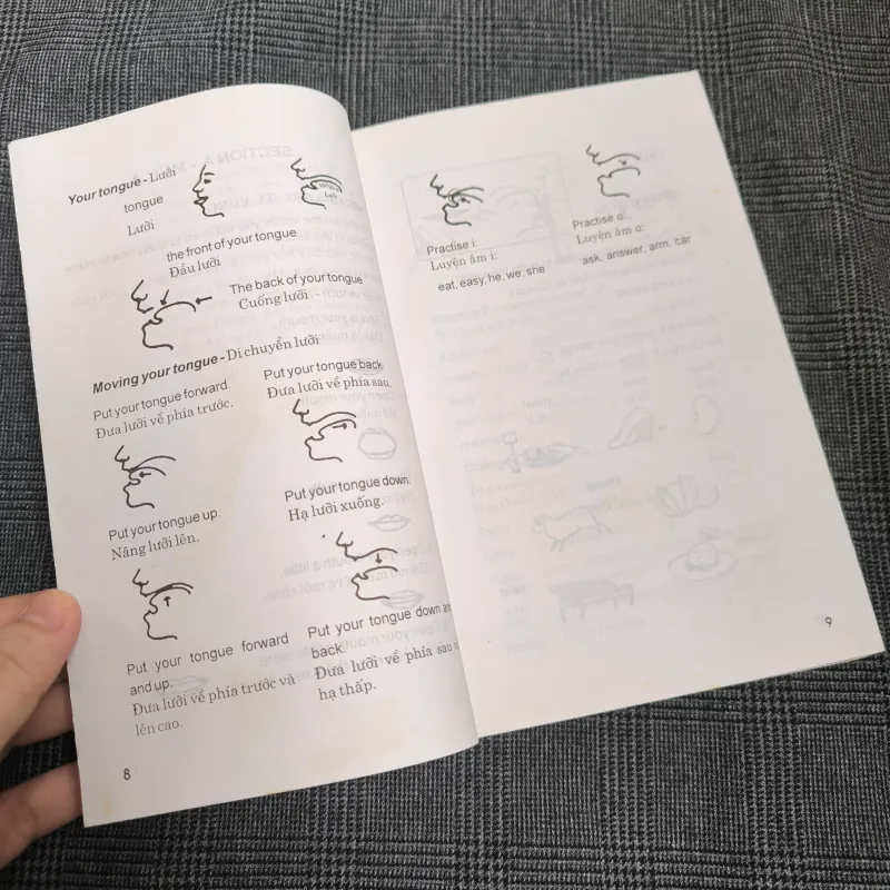 (Luyện phát âm tiếng Anh) Ship or Sheep? - Kèm đĩa CD 701072