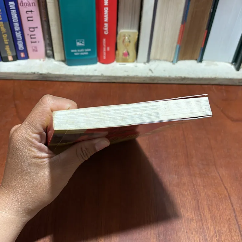 II Văn Học: Nguyễn Du _ Trên Đường Gió Bụi - Hoàng Khôi - 2002 801119