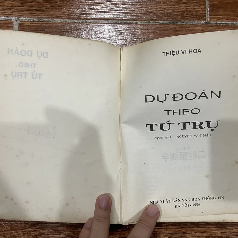 Dự Đoán Theo Tứ Trụ - Thiệu Vĩ Hoa  (6) 719207