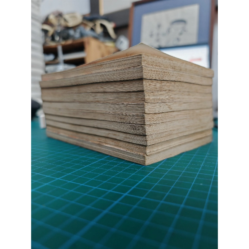 Truyện Tranh Bí Mật - Han Yu Rang 366162