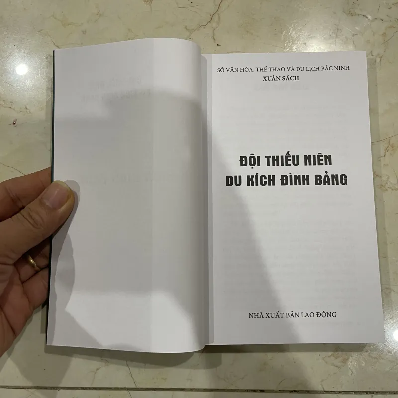 Đội thiếu niên du kích Đình Bảng 756898